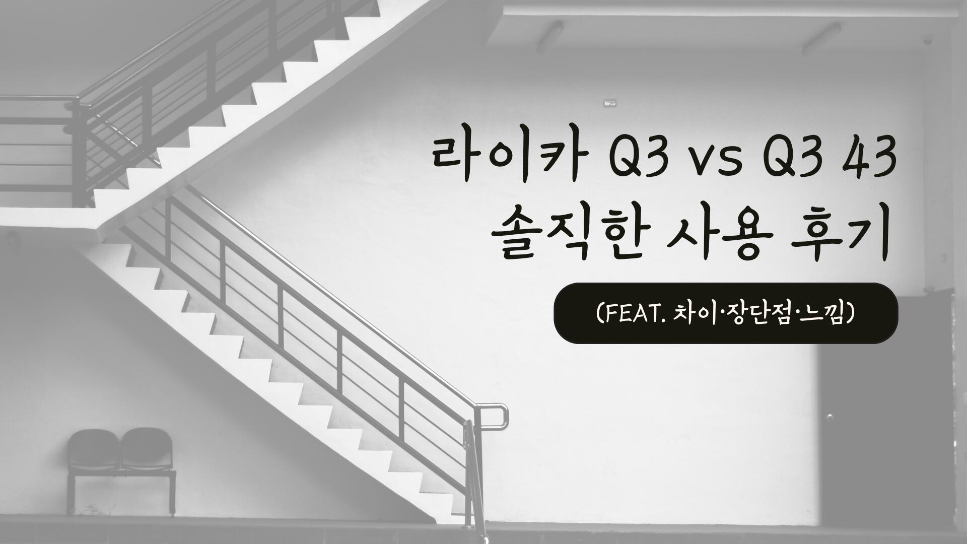 라이카 Q3 vs Q3 43 솔직한 사용 후기 (feat. 차이·장단점·느낌)