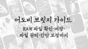 어도비 브릿지 가이드 - RAW 파일 확인·저장·파일 관리·간단 보정까지
