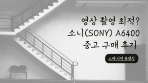 영상 촬영 최적? 소니(SONY) A6400 중고 구매 후기 - 스펙·사진·동영상